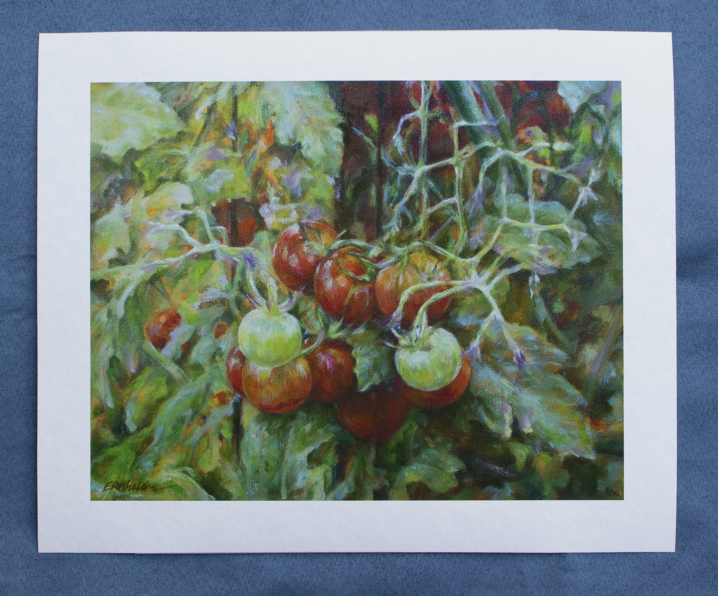 Fine Art Print - Cherry Millions