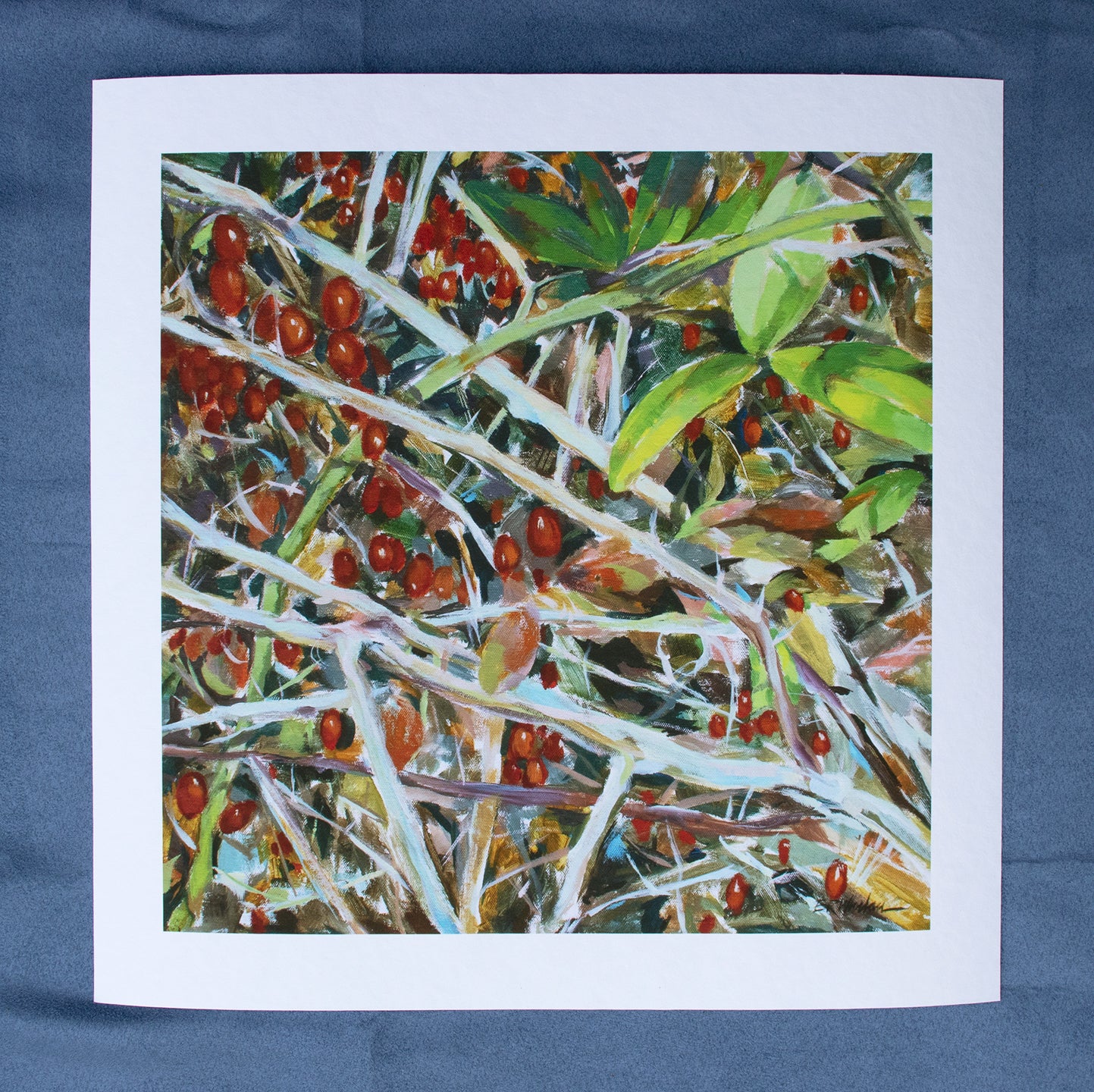 Fine Art Print - Red Berries